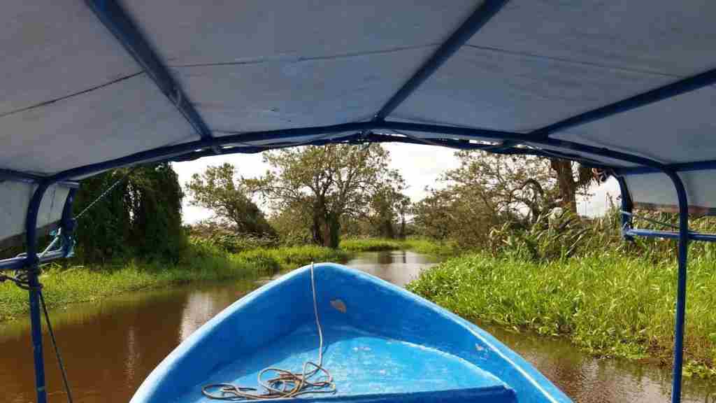 Mit dem Boot ins Refugio Vida Silvestre