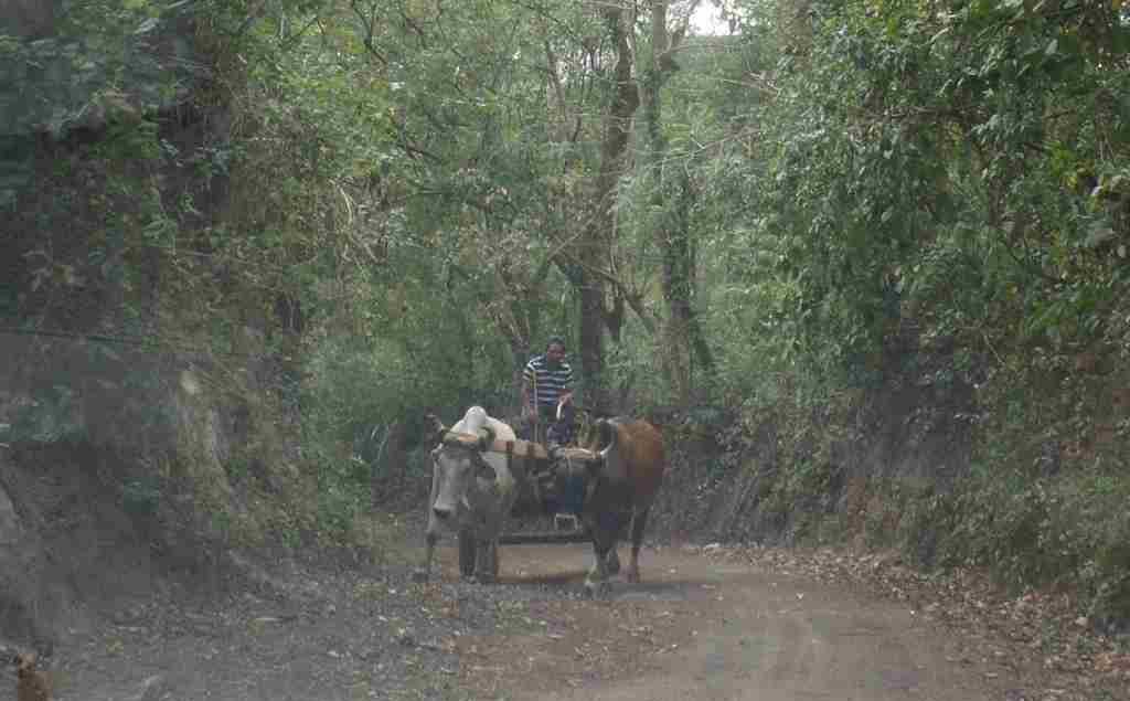 Die Straße zur Finca Alemán
